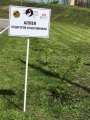 Аллея педагогов и наставников появилась в Ульяновске